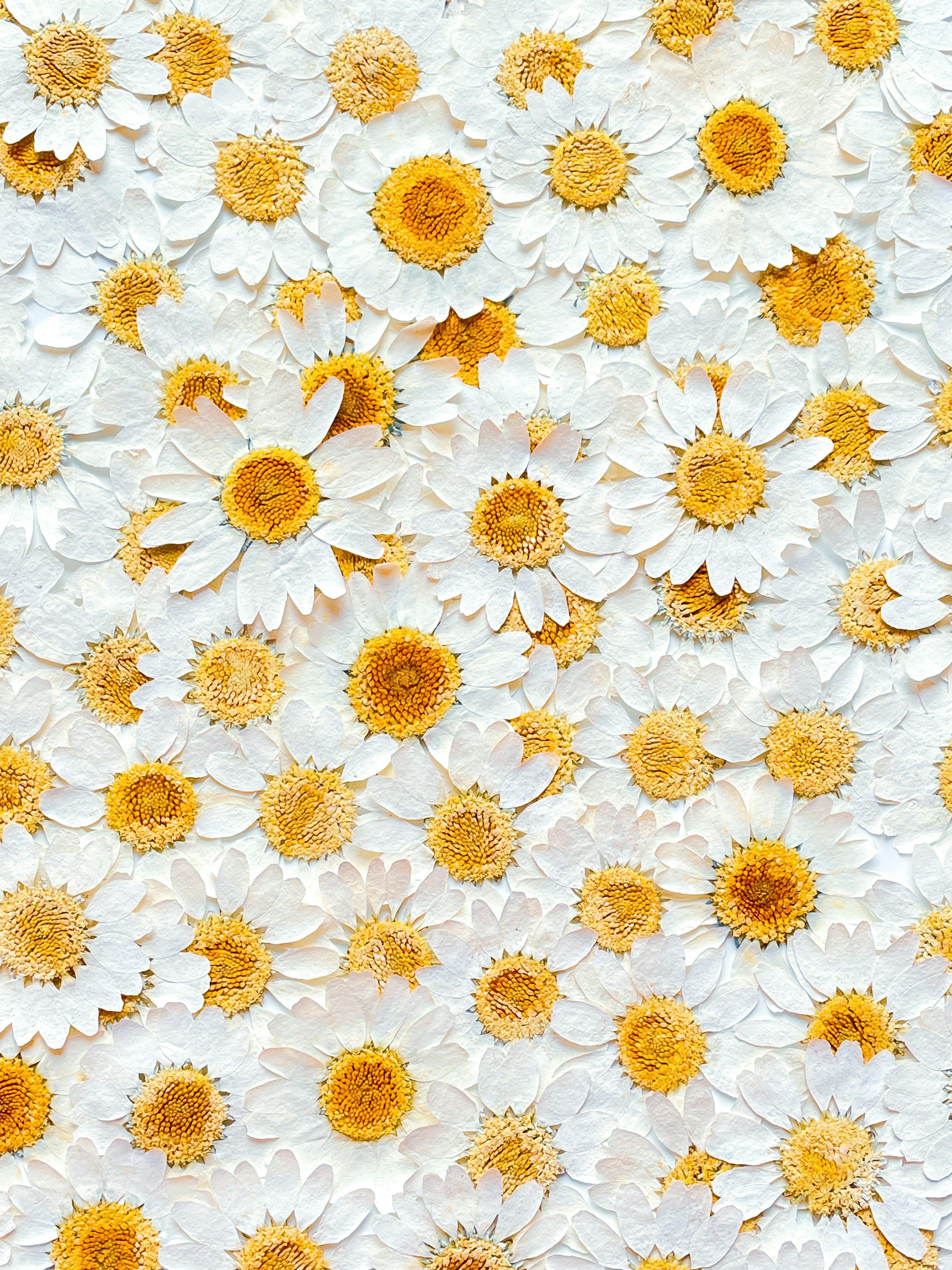 Product 34 - Model 2651