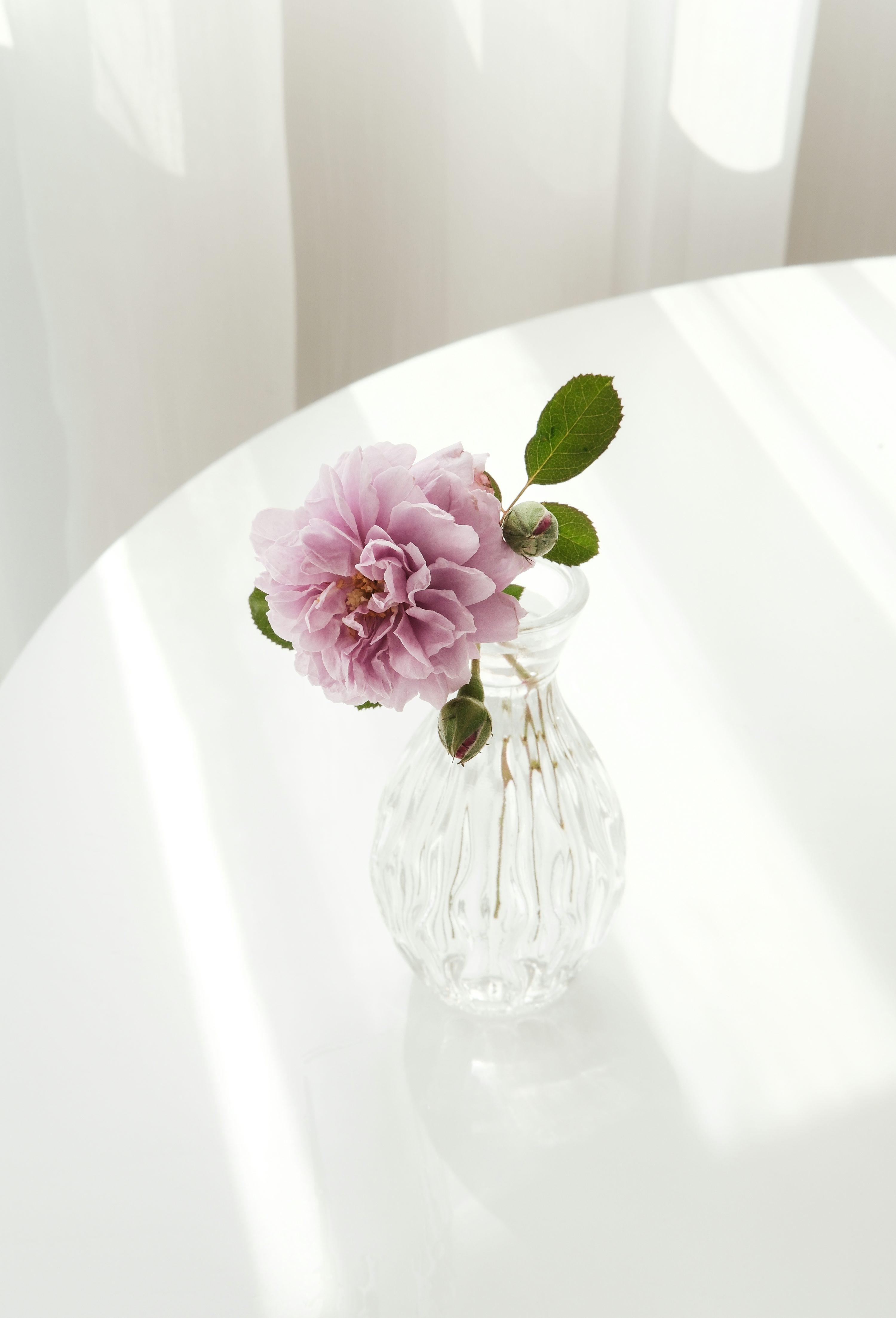 Product 36 - Model 6147