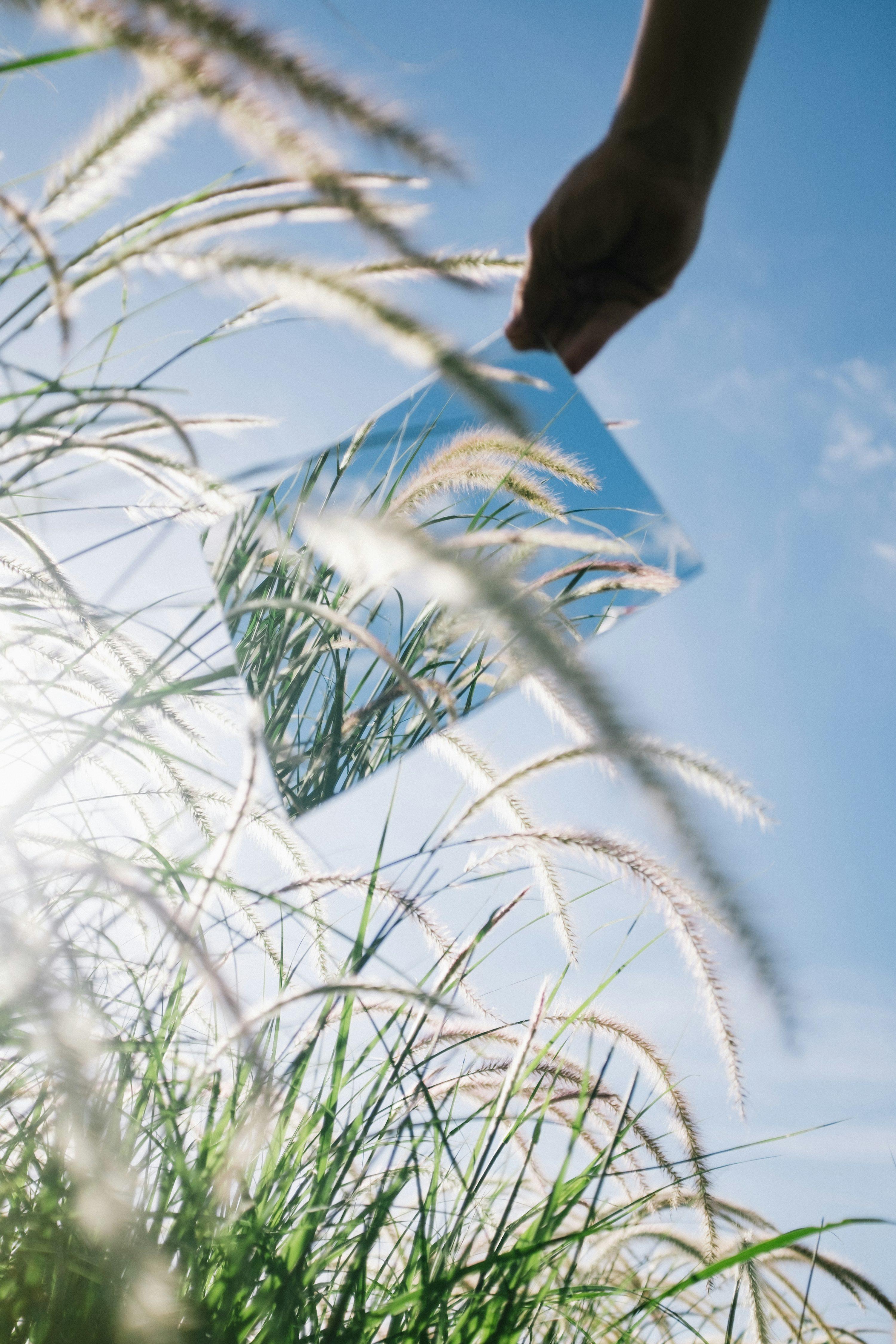 Product 39 - Model 8166