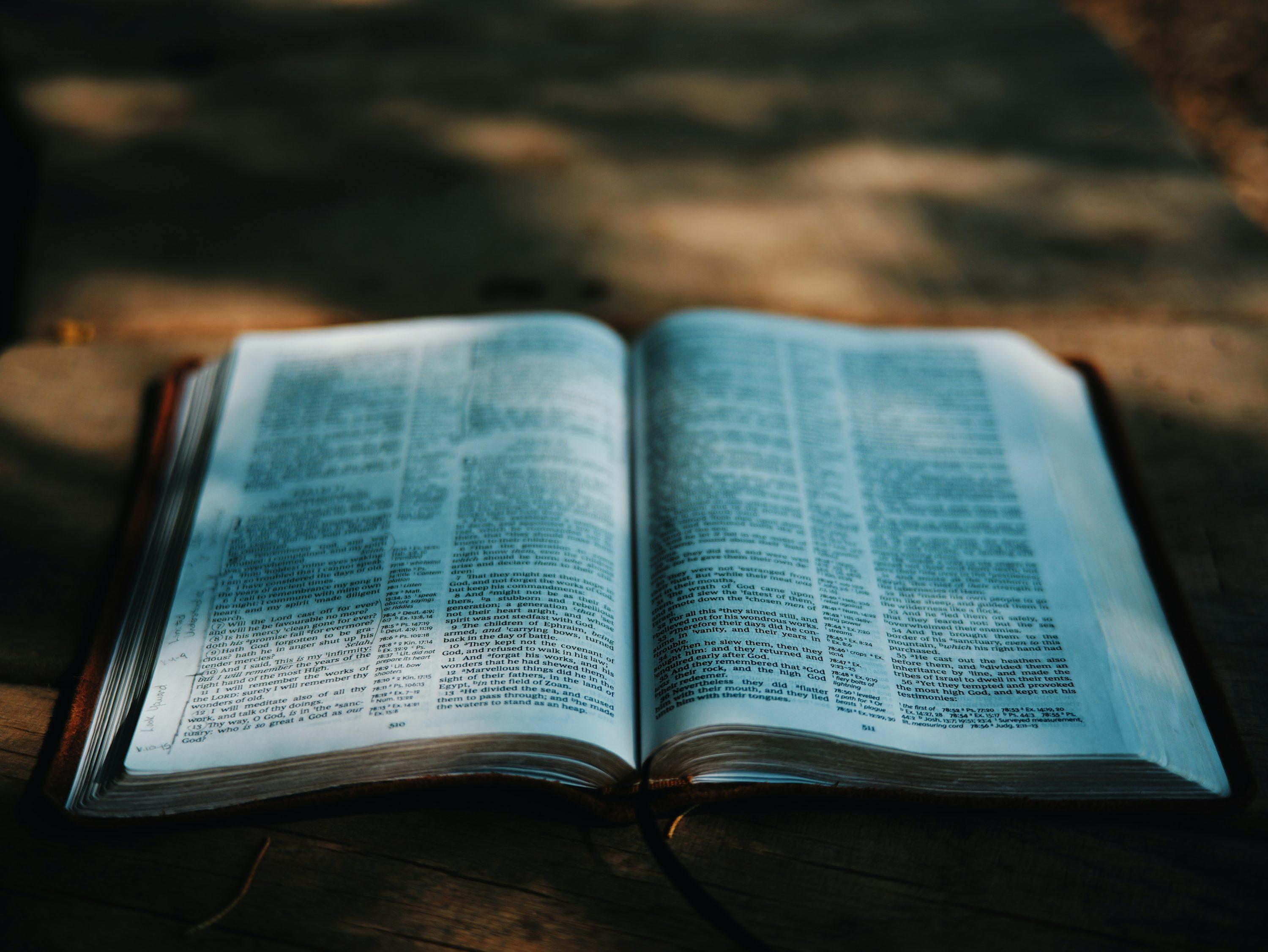 Product 40 - Model 9249