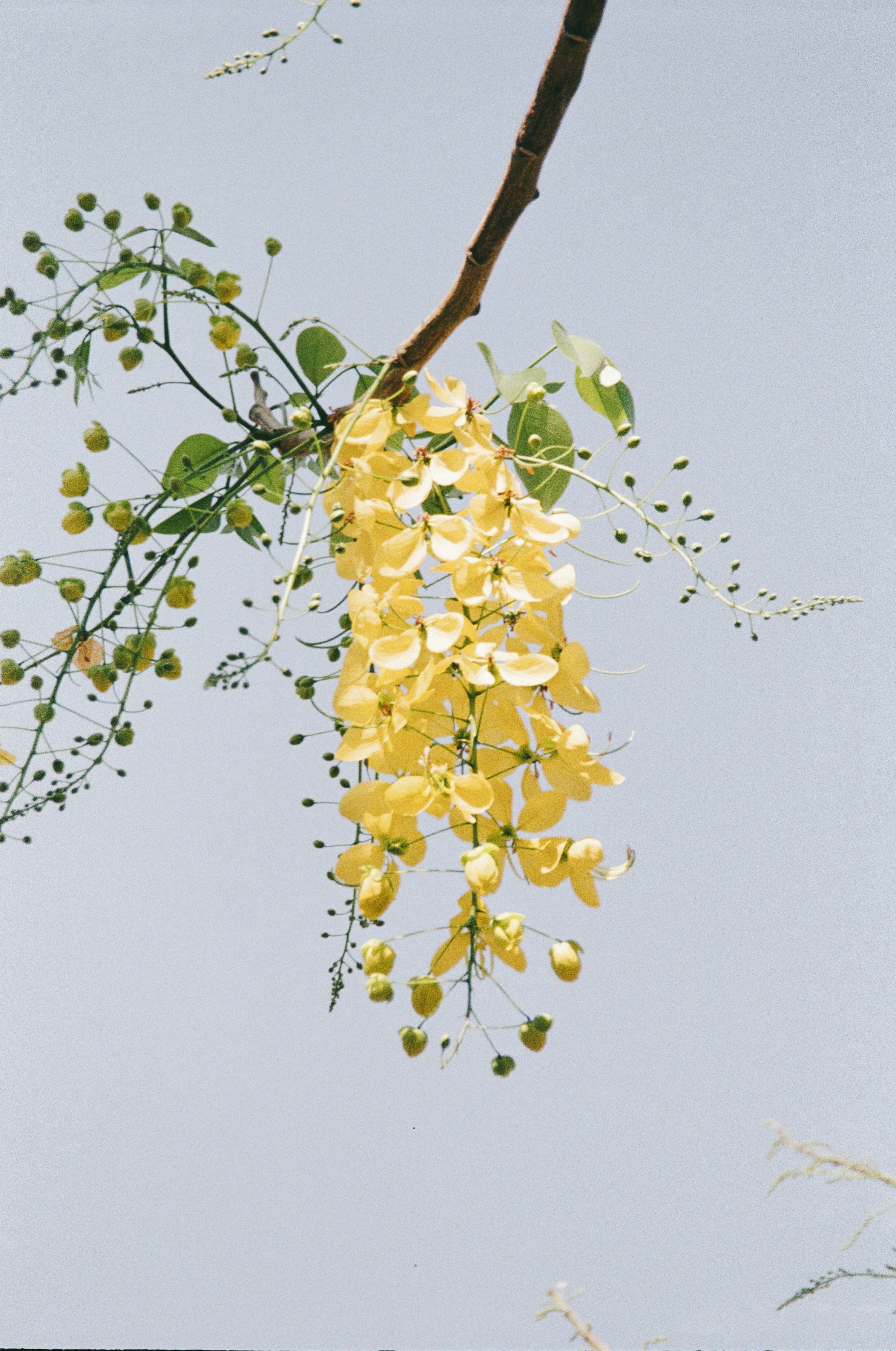 Product 61 - Model 3418