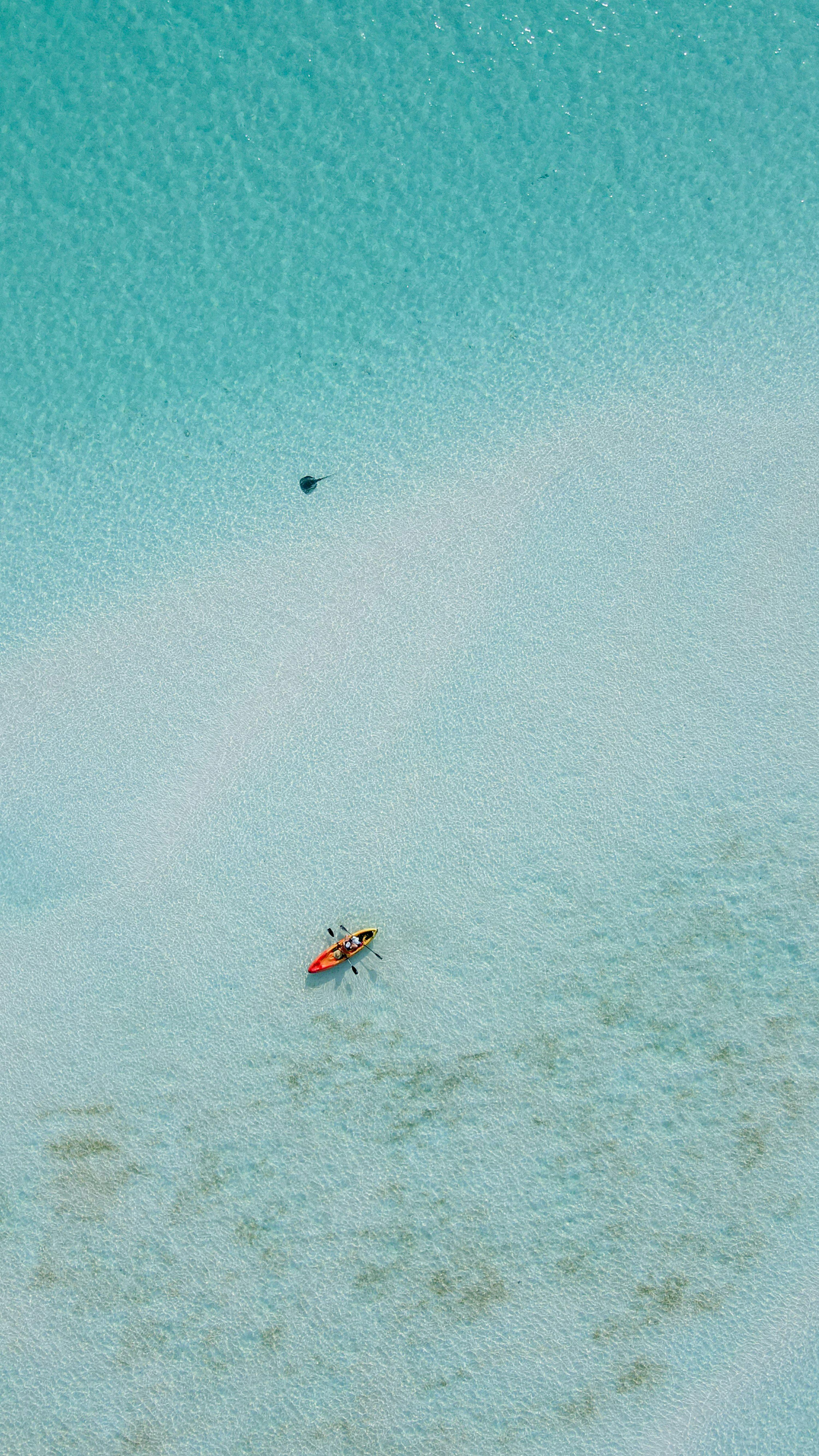 Product 62 - Model 5460