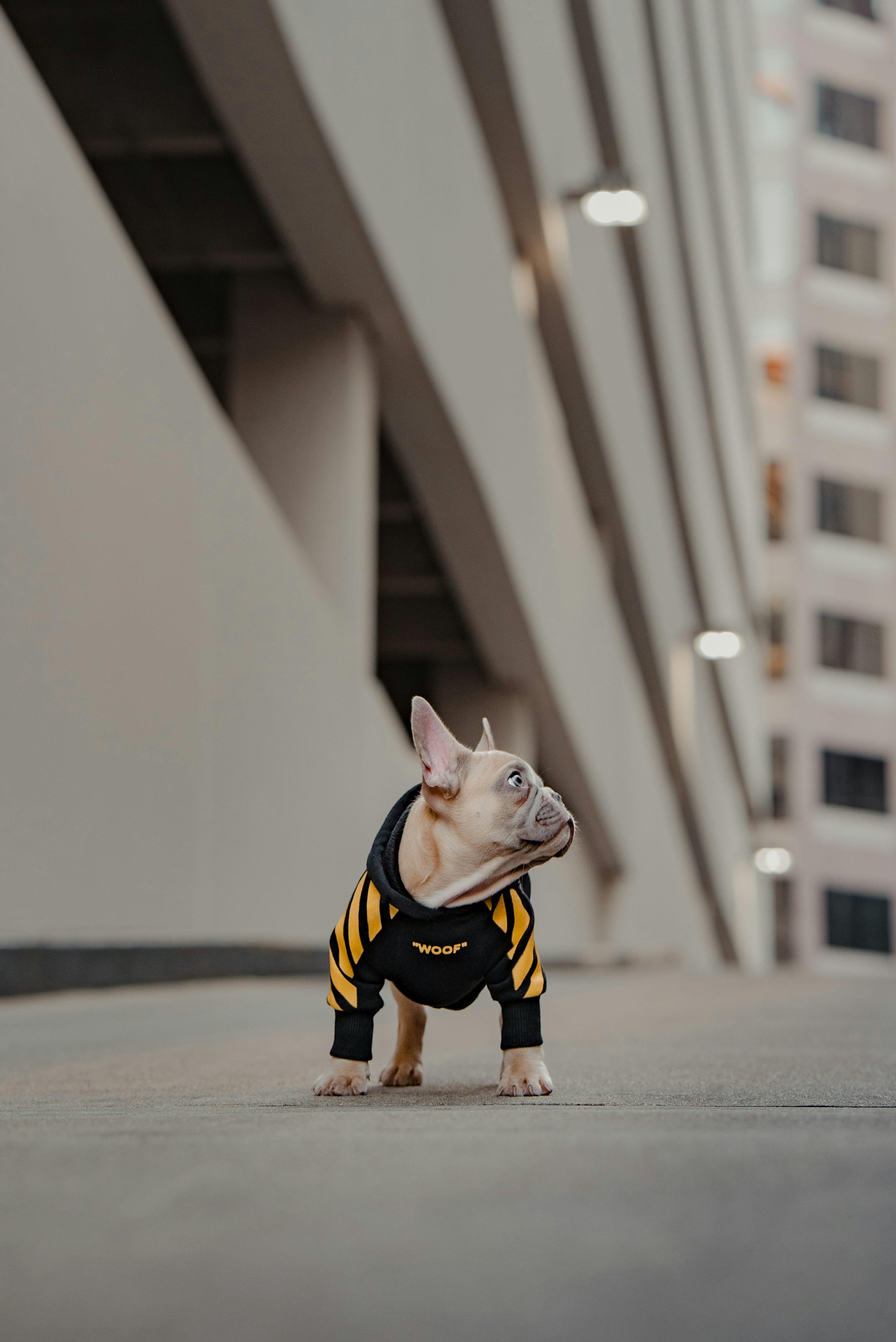 Product 67 - Model 6291