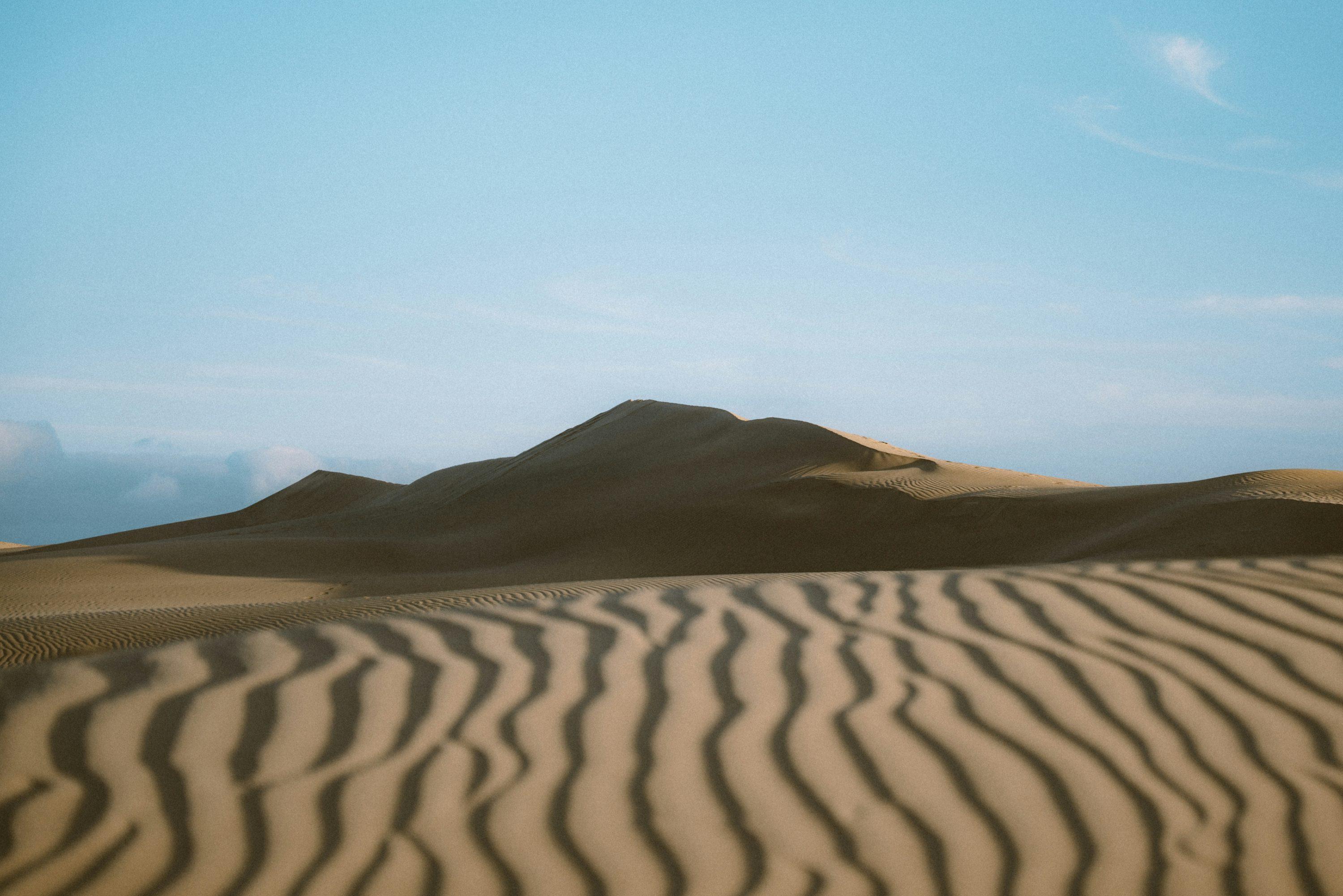 Product 89 - Model 8608