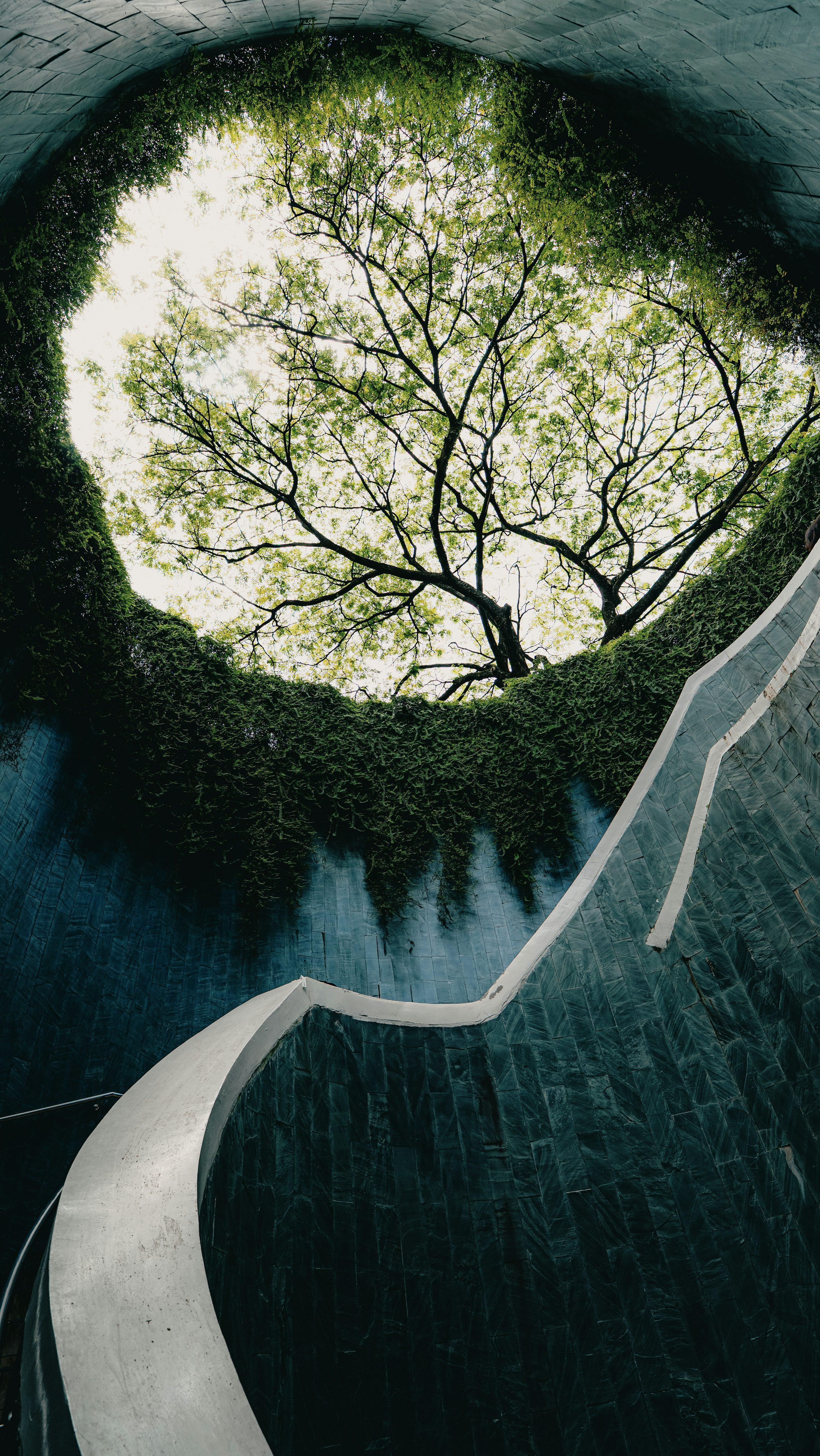 Product 99 - Model 3619